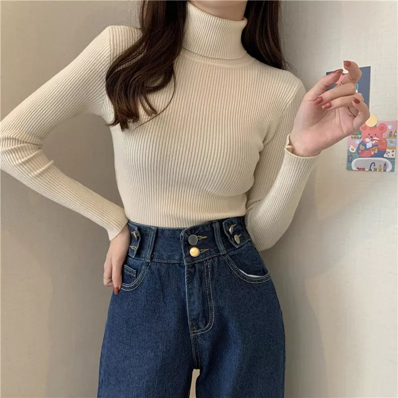 Korean Cozy Turtleneck Pullover