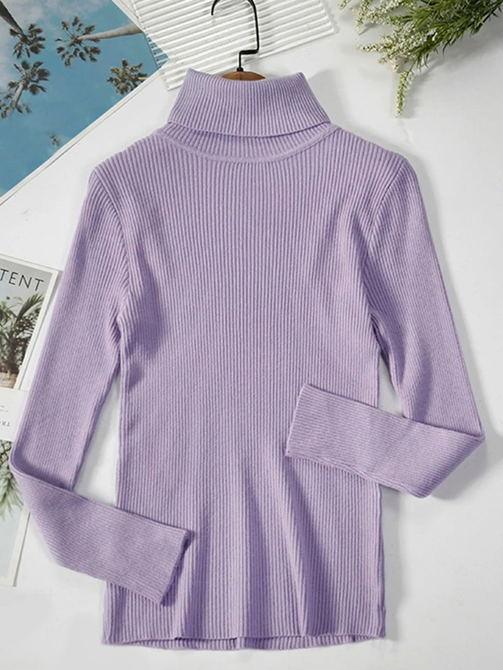 Korean Cozy Turtleneck Pullover