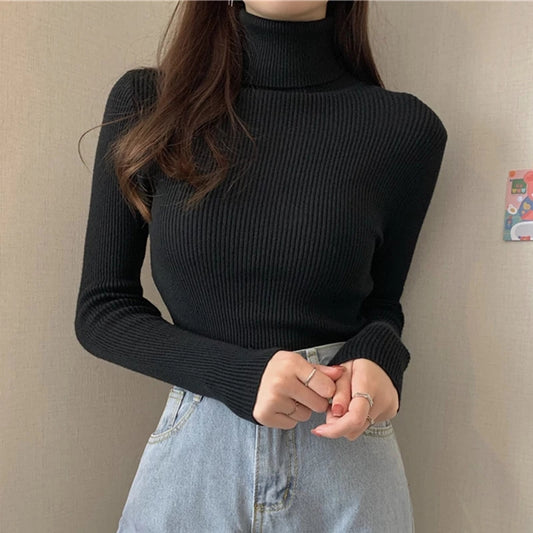 Korean Cozy Turtleneck Pullover